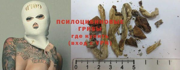 трава Армянск
